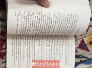 CHETAN BHAGAT THE GIRL IN ROOM 105