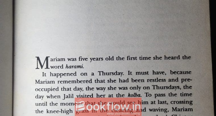 A thousand splendid suns
