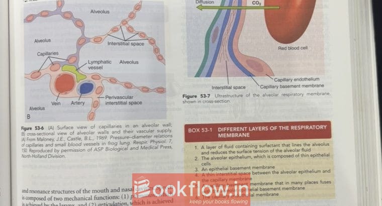 Guyton & Hall Textbook Medical Physiology, 13thed