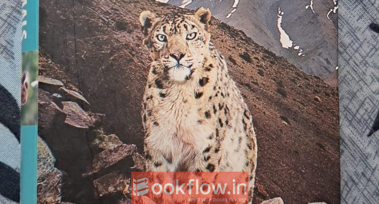 INDIAN MAMMALS : A FIELD GUIDE