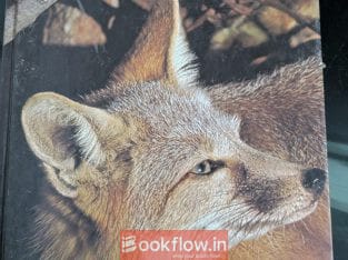 Encyclopedia