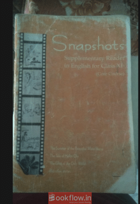 snapshot english