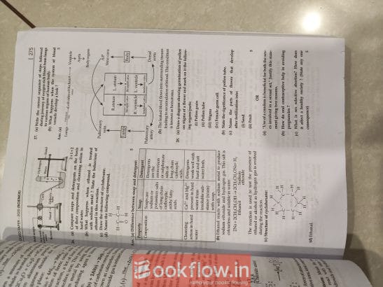 CBSE 10 PYP Oswaal