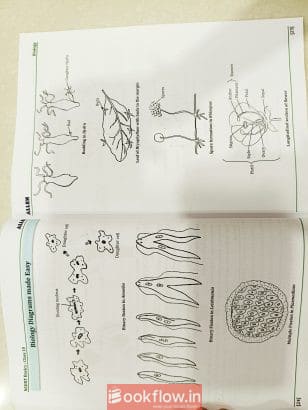Class 10 NCERT basics