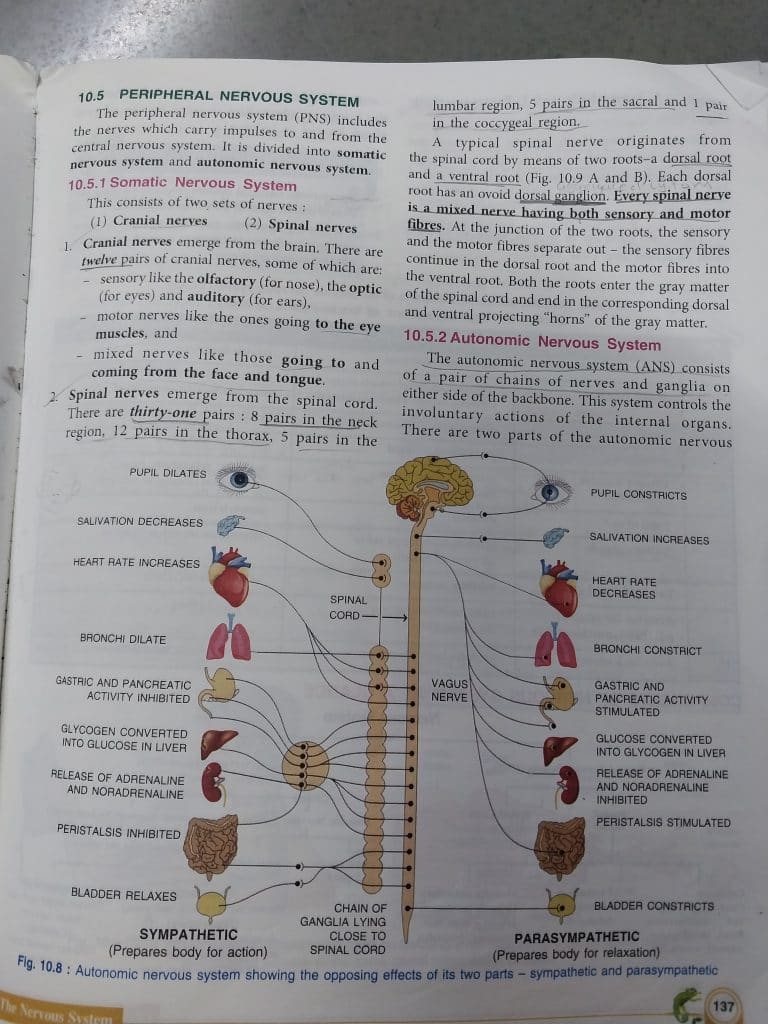 Concise Biology photo 3