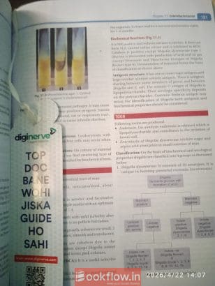 Medical microbiology
