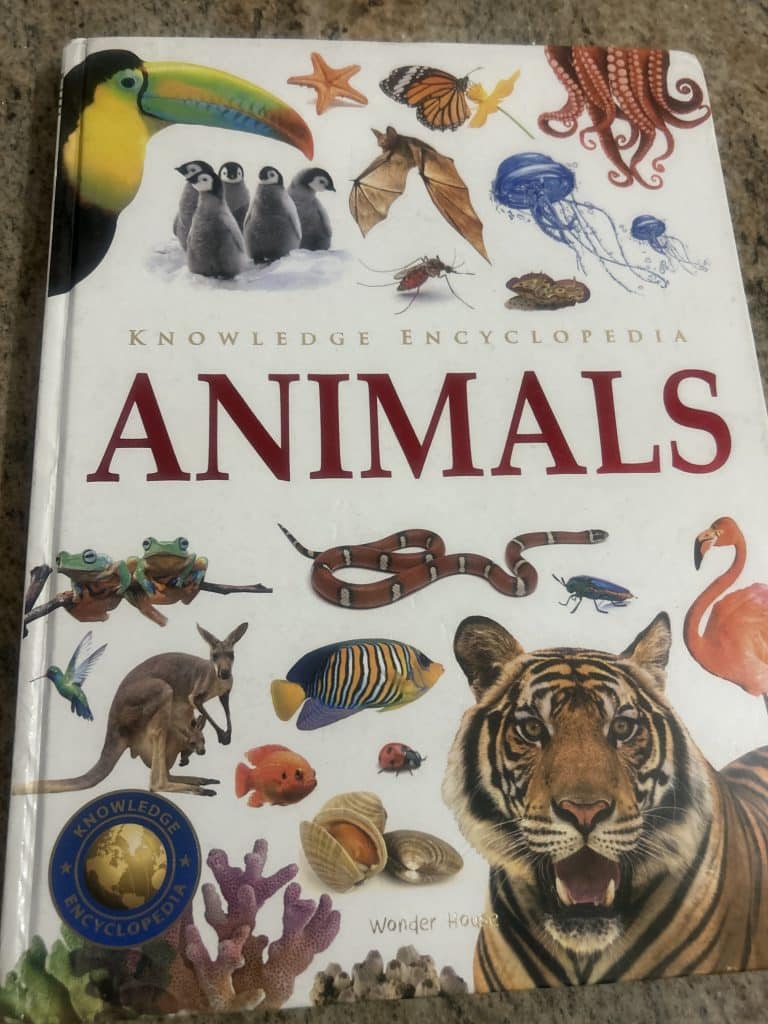 Knowledge encyclopaedia animals,birds insects