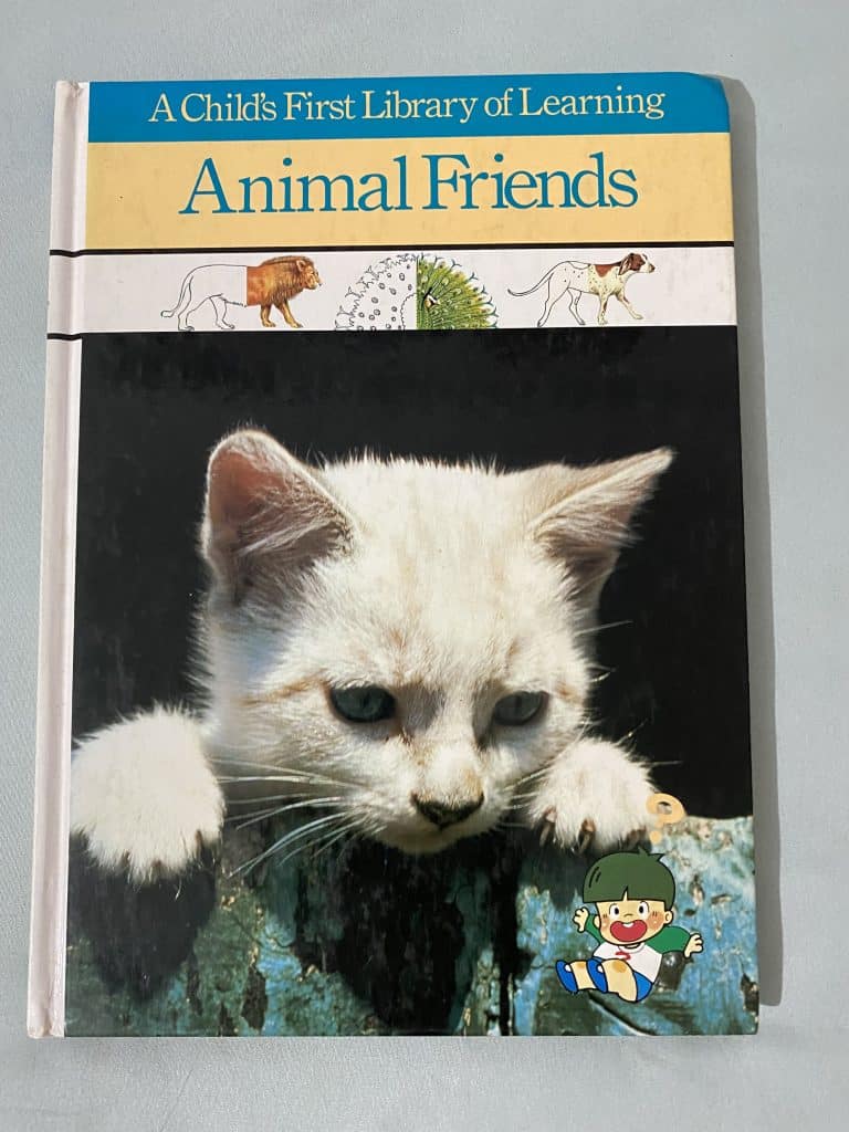 Cute Learning Books For Kids (age 4-12)