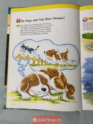 Cute Learning Books For Kids (age 4-12)