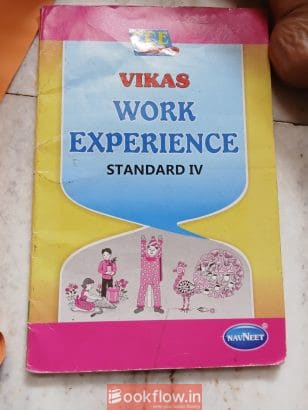 Vikas work experience sta...