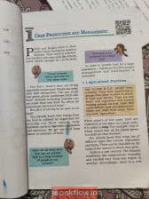 Science Textbook for class 8.