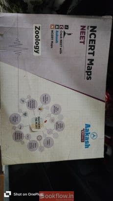 Neet modules of clc and a...