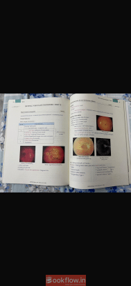 Marrow Edition 8 Original Main notes (Brand New)