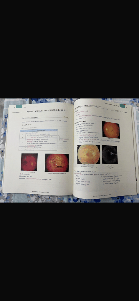 Marrow Edition 8 Original Main notes photo 2