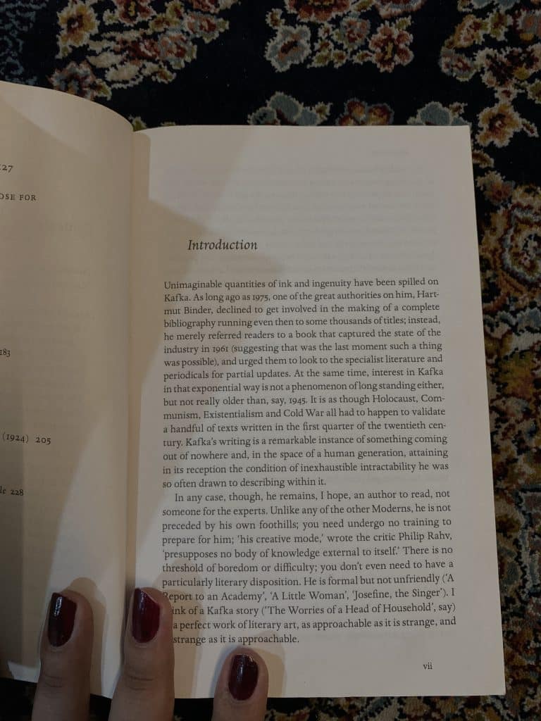 Metamorphosis and other Stories by Franz Kafka photo 3