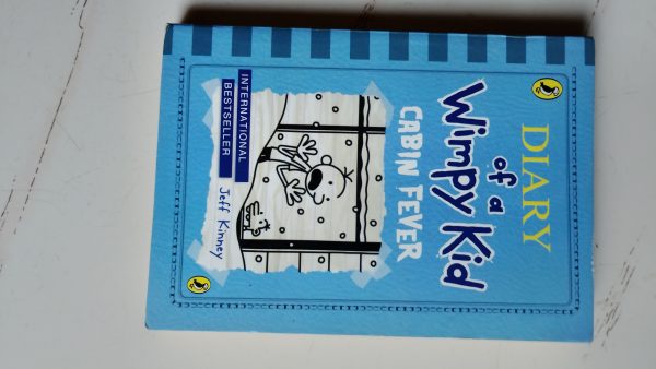 Diary of the Wimpy kid – Cabin fever