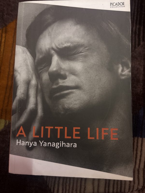 A little life