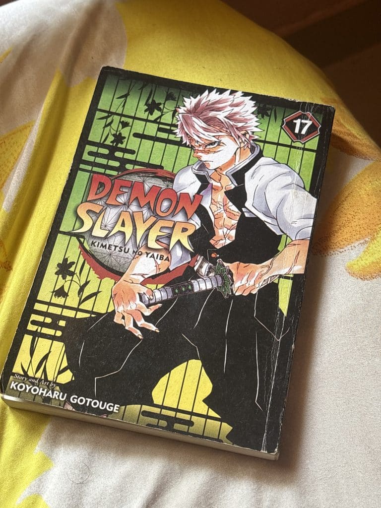 Demon Slayer: Kimetsu no Yaiba, Vol. 17