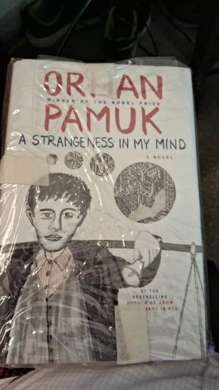 A Strangeness in My Mind