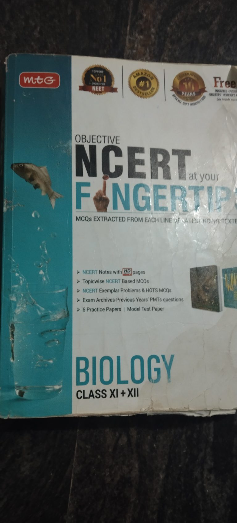 Fingertips Biology