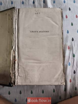 Gray’s Anatomy
