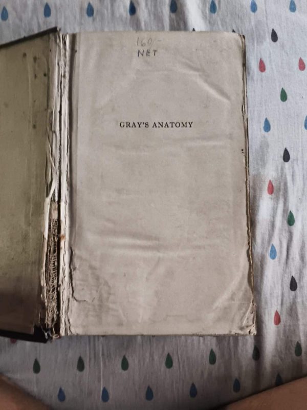 Gray’s Anatomy