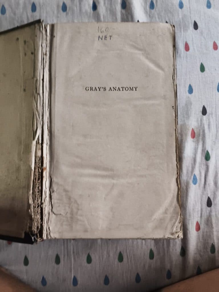 Gray’s Anatomy