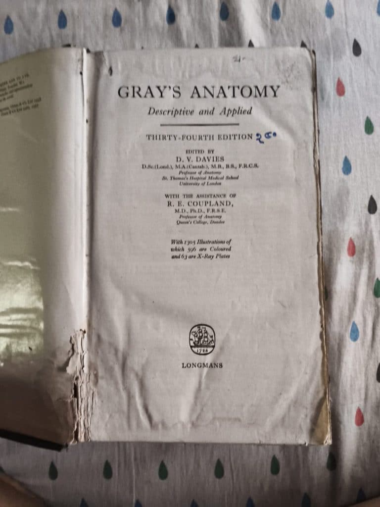 Gray’s Anatomy photo 2