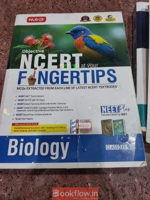 MTG Fingertips All 3 subjects