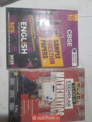 Class 10 english sample p...