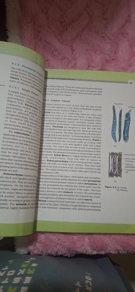 Biology CBSE 11 th