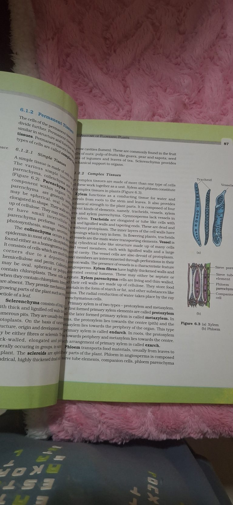 Biology CBSE 11 th
