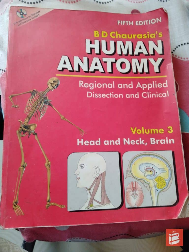 Human anatomy
