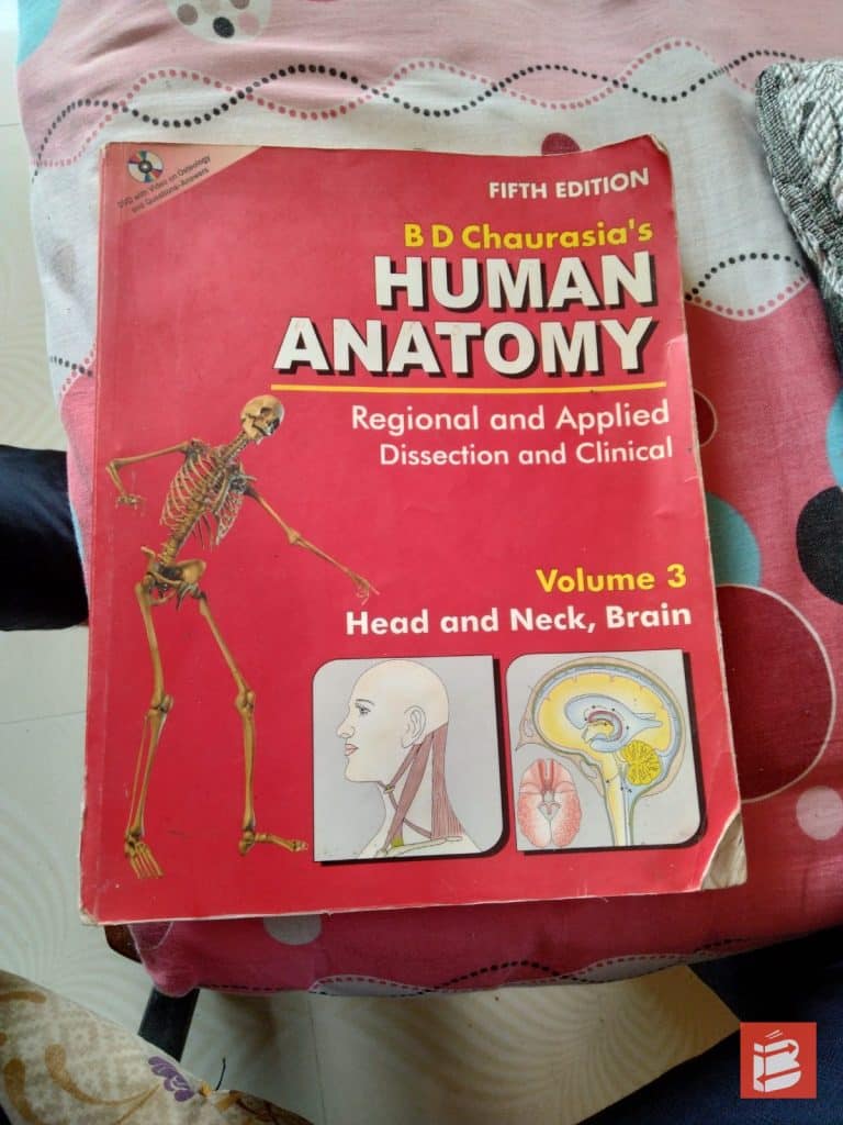 Human anatomy photo 2