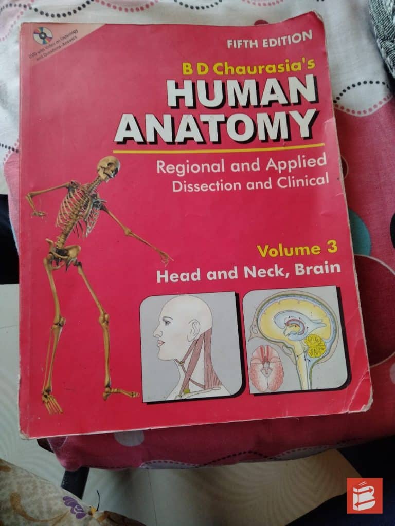 Human anatomy photo 3