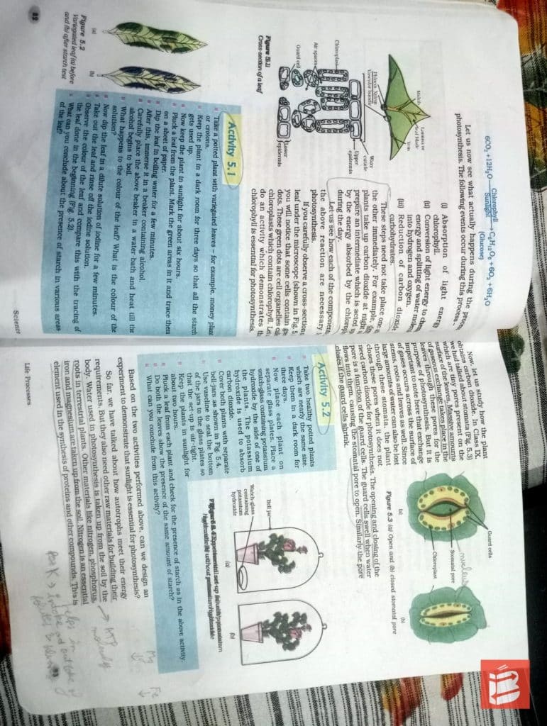 Science Textbook for Class 10 photo 2